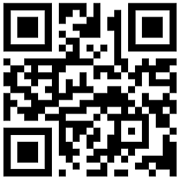 QR-Code www.adelity.de